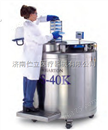 泰来华顿606L气相液氮罐LABS-40K